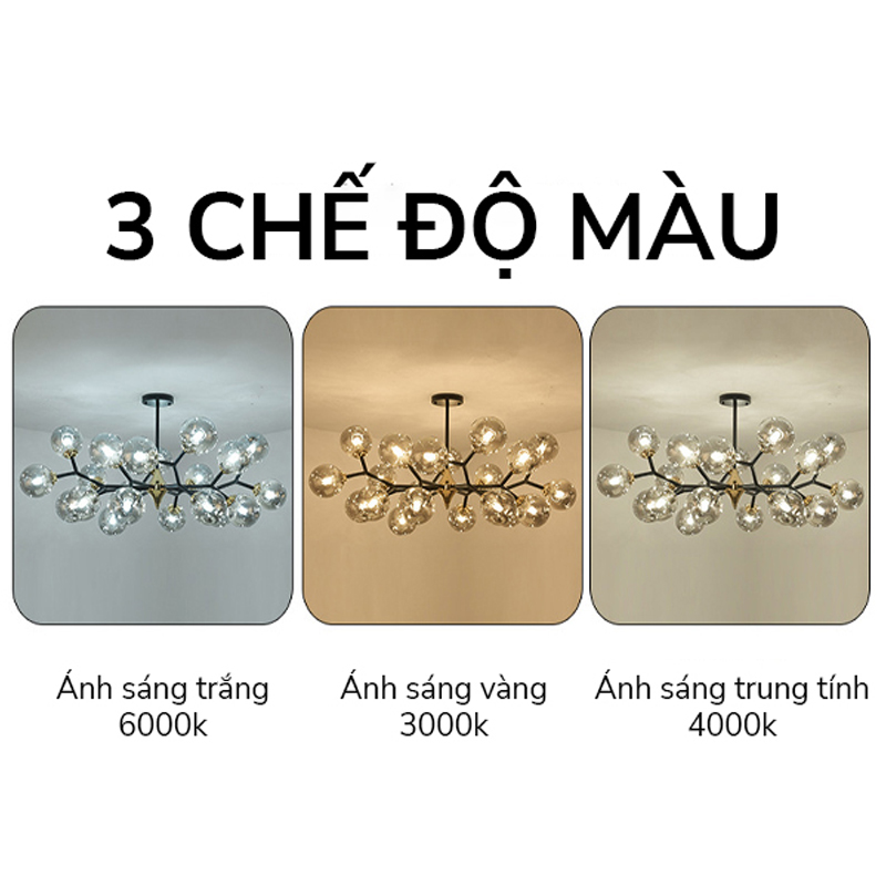 3-che-do-mau-600x600