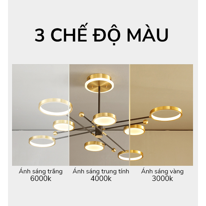 nền-600x600-1 nen-600x600-1