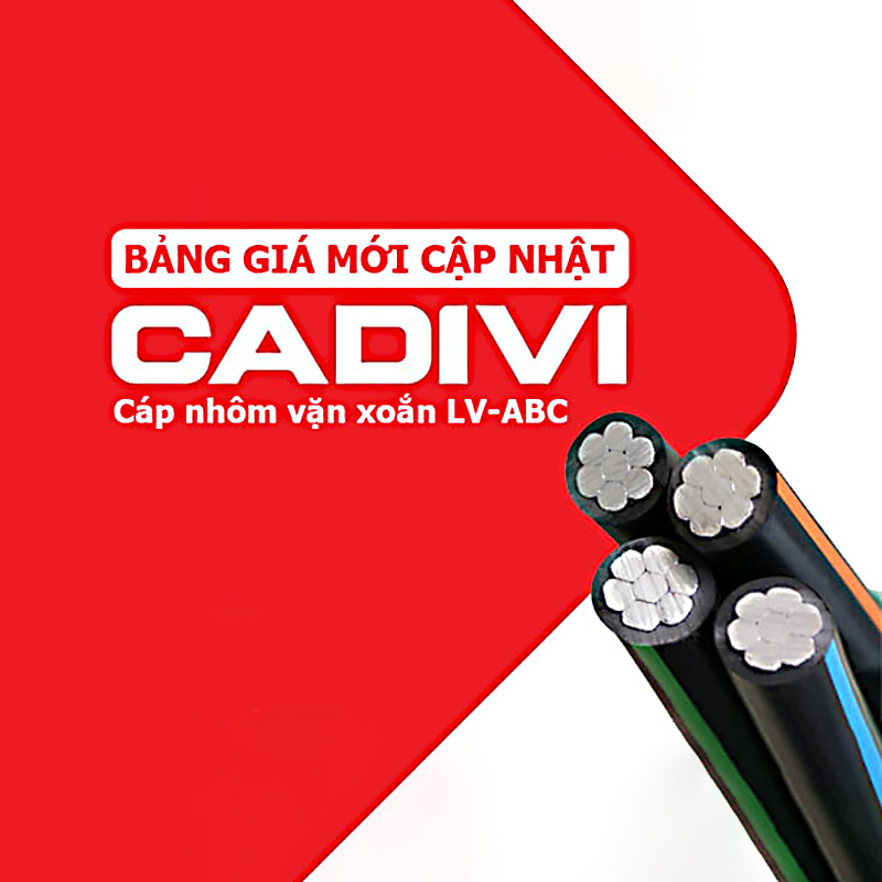 cadivaimg (2) cadivaimg-2