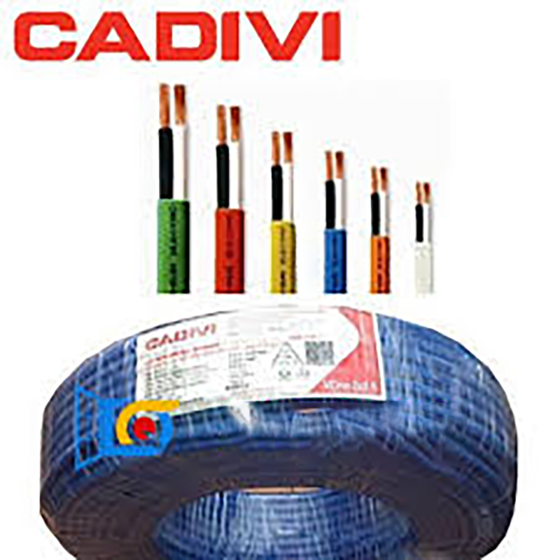 cadivi (10) cadivi-10