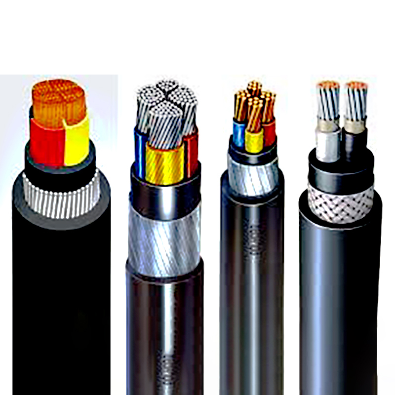 cadivi (11) cadivi-11