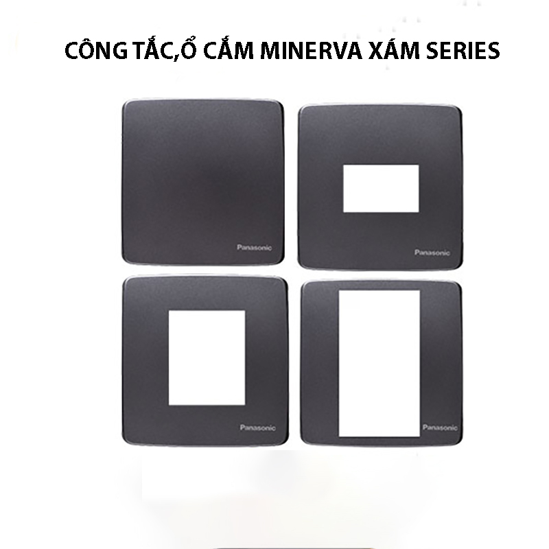 minervaxam minervaxam