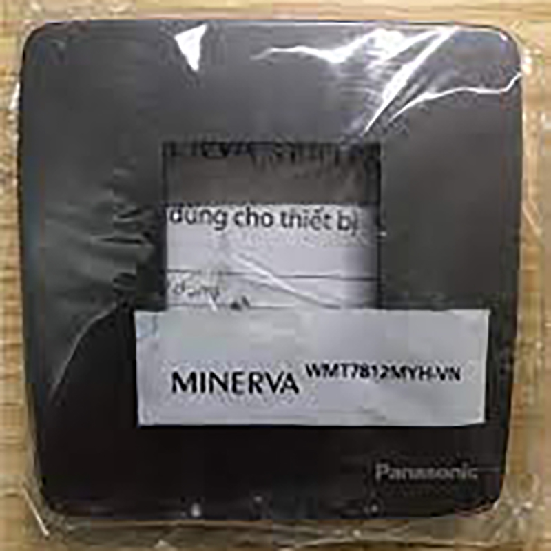 minervaxam (2) minervaxam-2