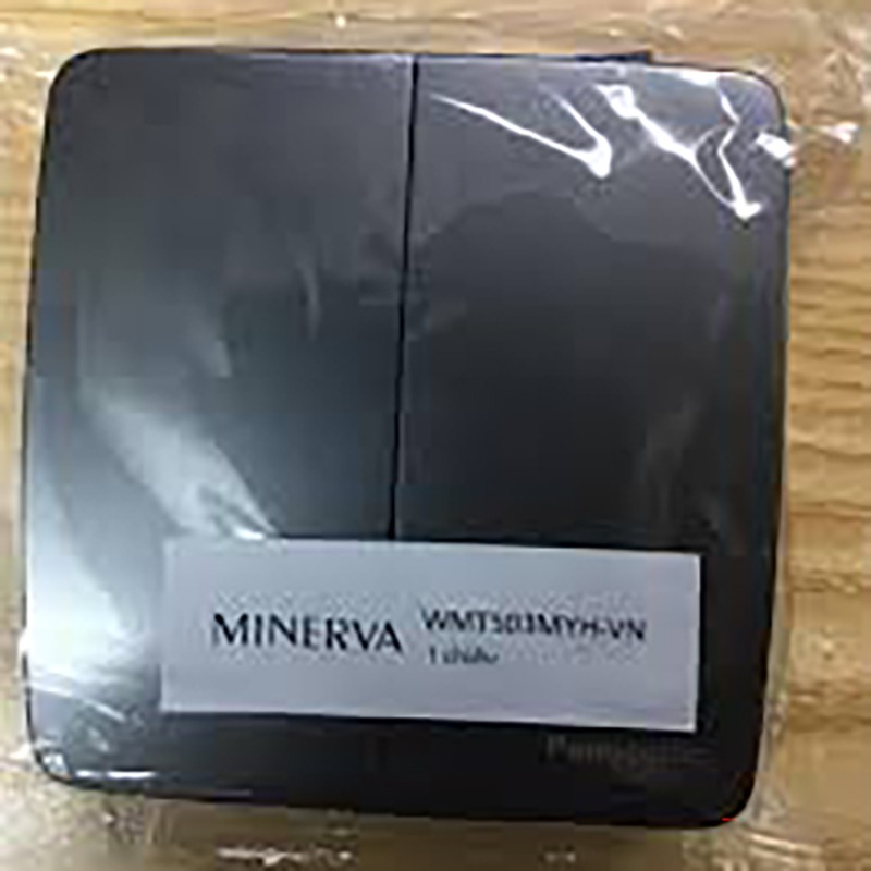 minervaxam (3) minervaxam-3