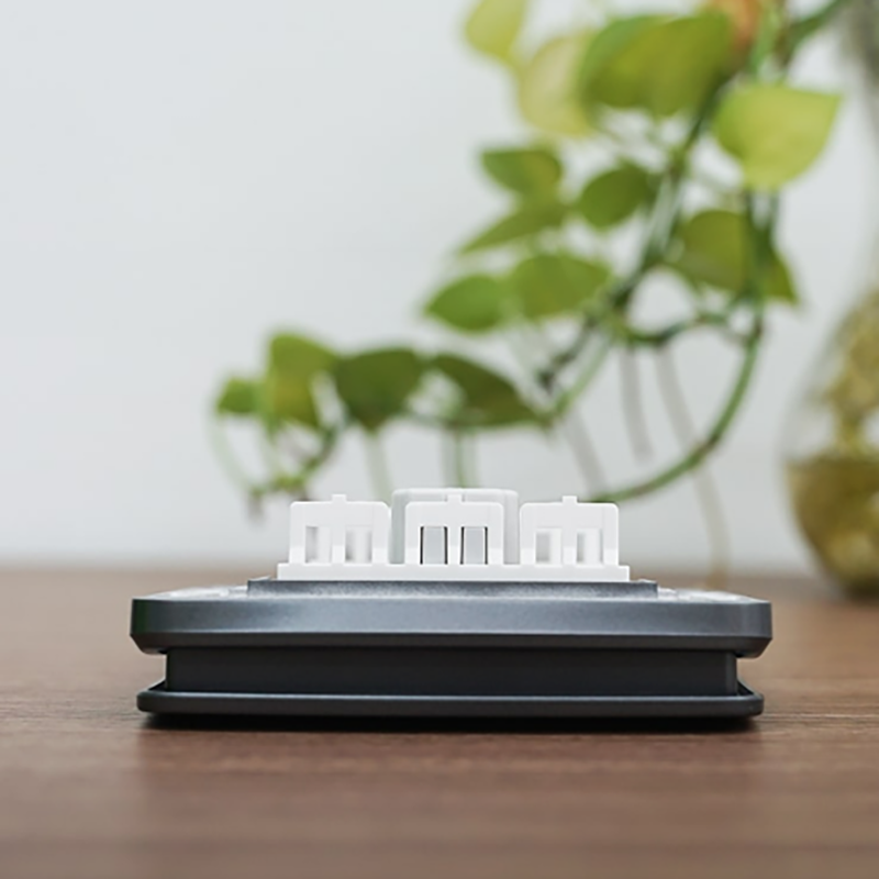 minervaxam (6) minervaxam-6