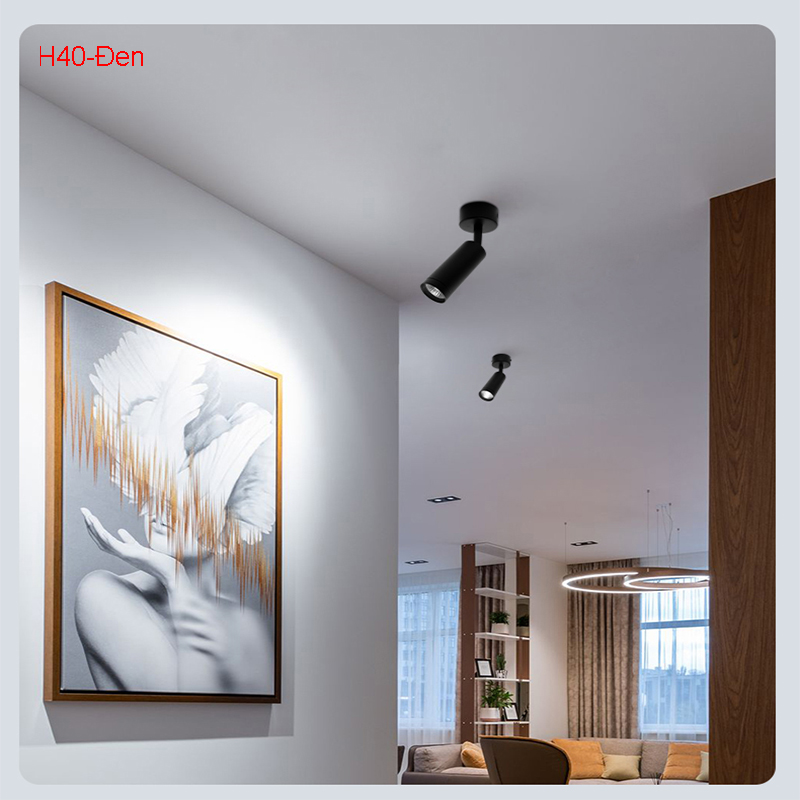 Đèn soi tranh cao cấp H40-Đen