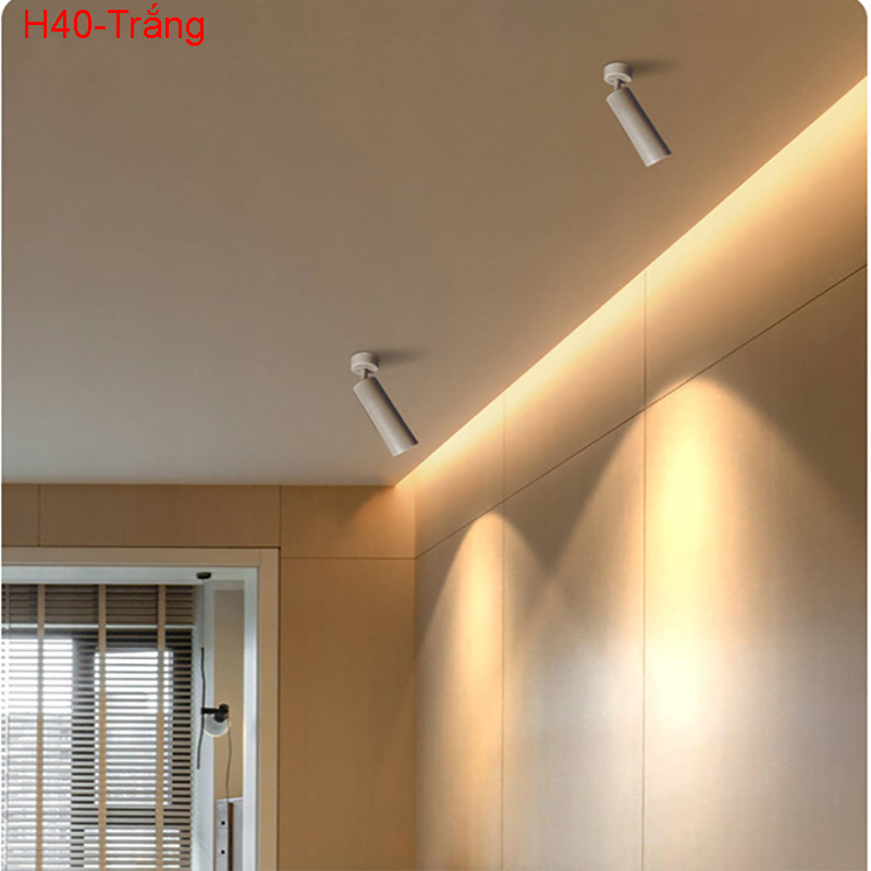 Den-soi-tranh-cao-cap-H40-Trang(1) Đèn soi tranh cao cấp H40-Trắng