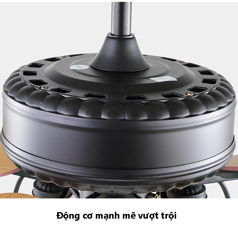 A5012BS (2) a5012bs-2