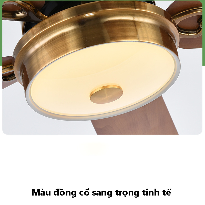 12144978967_1305614902 12144978967_1305614902