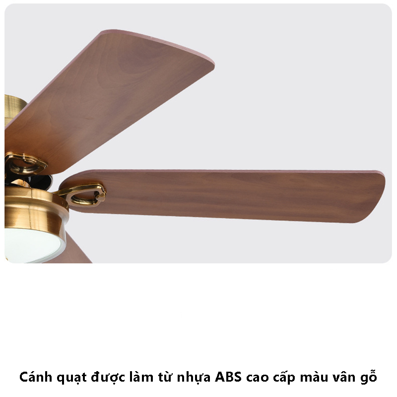 12144990630_1305614902 12144990630_1305614902