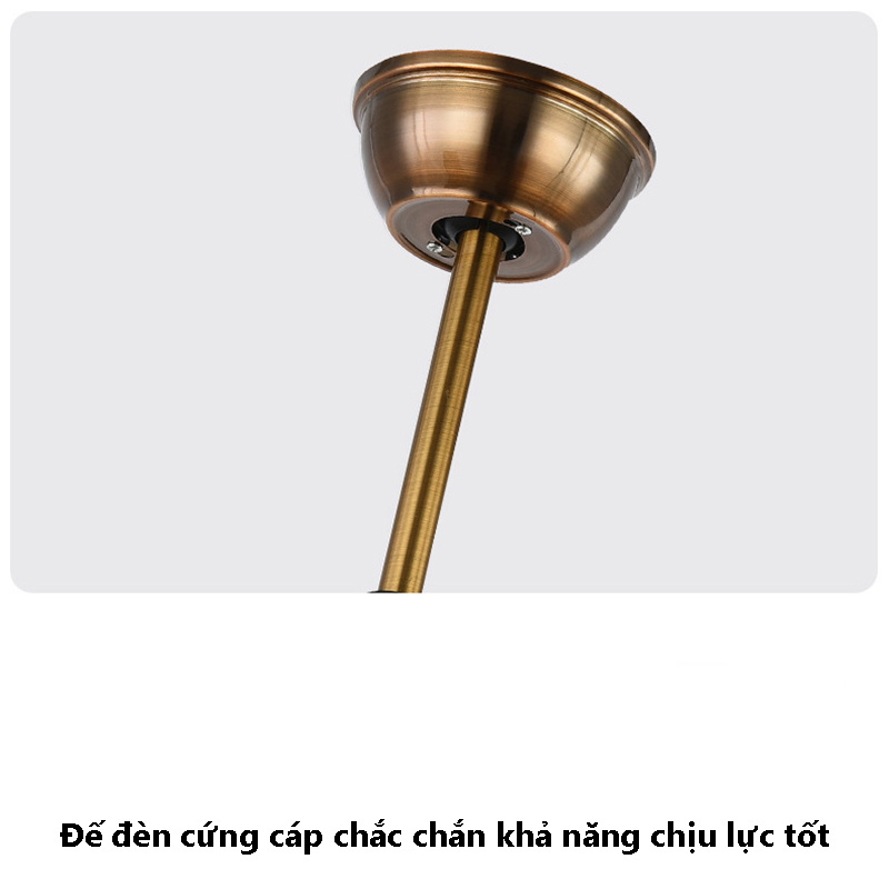 12182278649_1305614902 12182278649_1305614902