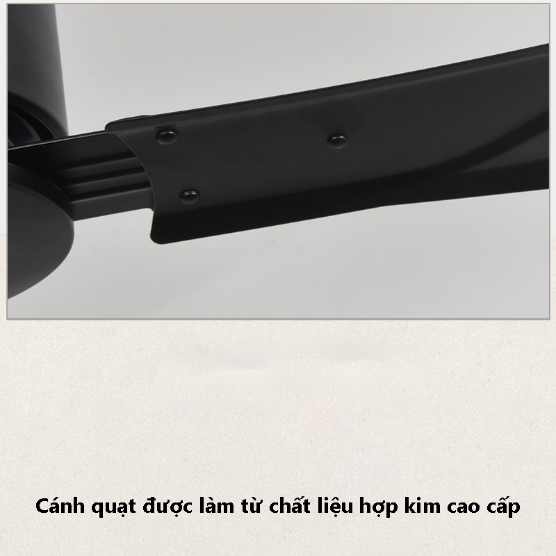 9121923537_1583510239 9121923537_1583510239